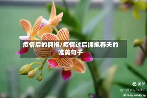 疫情后的拥抱/疫情过后拥抱春天的唯美句子-第2张图片