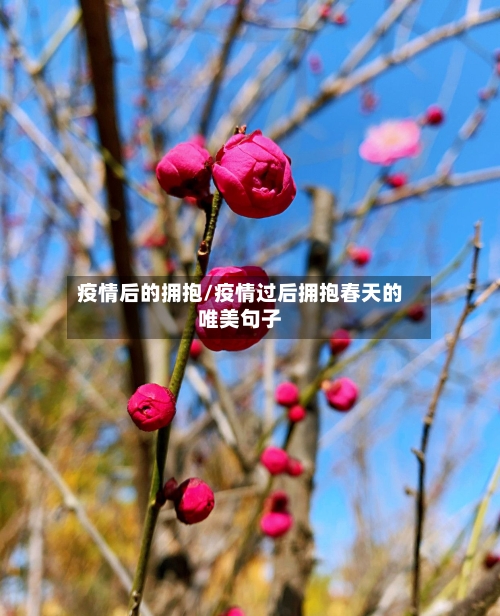 疫情后的拥抱/疫情过后拥抱春天的唯美句子