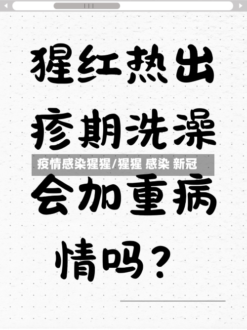 疫情感染猩猩/猩猩 感染 新冠
