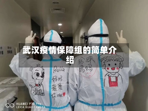 武汉疫情保障组的简单介绍