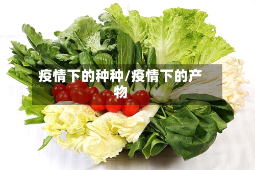 疫情下的种种/疫情下的产物
