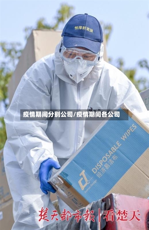 疫情期间分别公司/疫情期间各公司