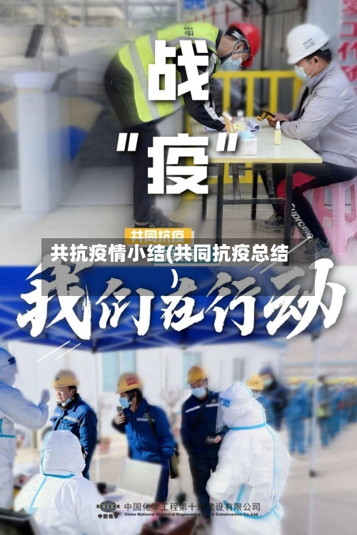 共抗疫情小结(共同抗疫总结)