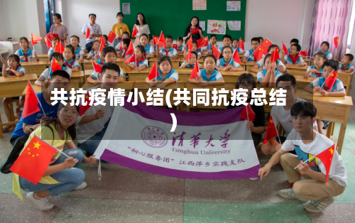 共抗疫情小结(共同抗疫总结)-第3张图片