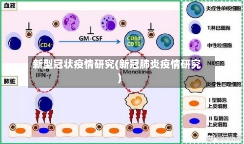 新型冠状疫情研究(新冠肺炎疫情研究)
