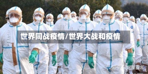 世界同战疫情/世界大战和疫情-第2张图片
