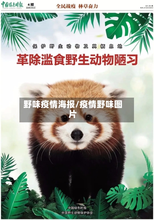 野味疫情海报/疫情野味图片