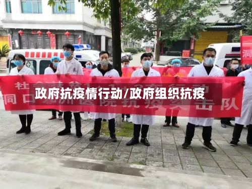 政府抗疫情行动/政府组织抗疫-第2张图片