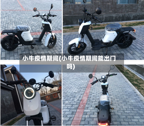 小牛疫情期间(小牛疫情期间能出门吗)-第2张图片