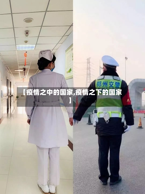 【疫情之中的国家,疫情之下的国家】