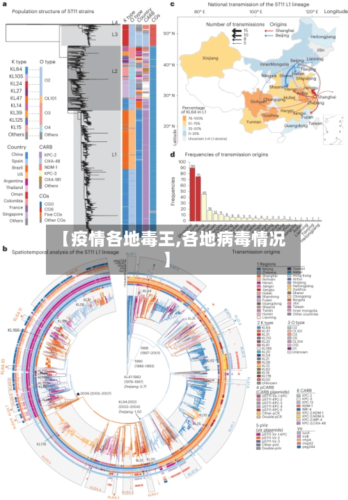 【疫情各地毒王,各地病毒情况】