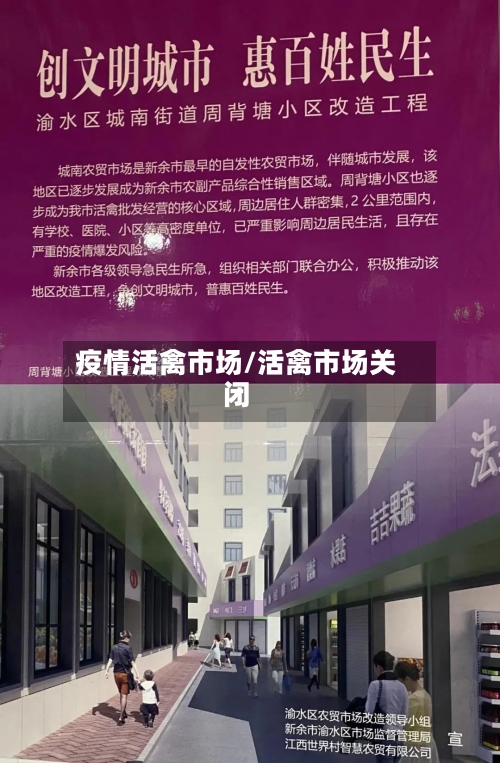 疫情活禽市场/活禽市场关闭-第2张图片