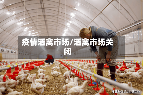 疫情活禽市场/活禽市场关闭-第3张图片