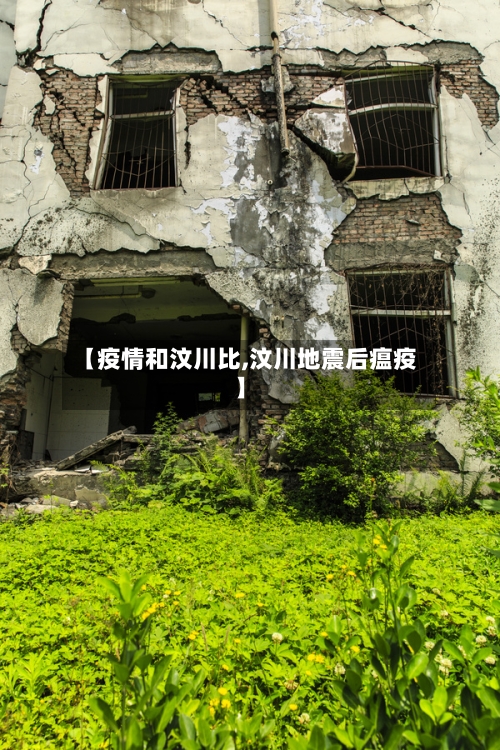 【疫情和汶川比,汶川地震后瘟疫】-第3张图片