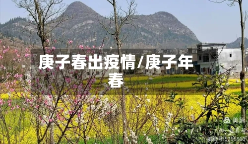 庚子春出疫情/庚子年春
