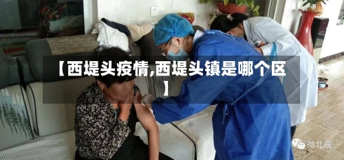 【西堤头疫情,西堤头镇是哪个区】-第2张图片