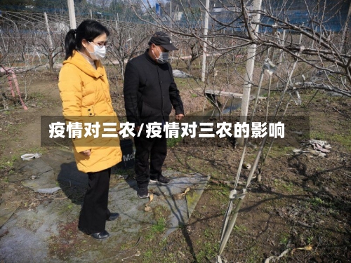 疫情对三农/疫情对三农的影响-第3张图片
