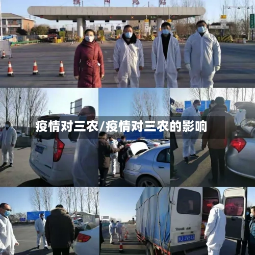疫情对三农/疫情对三农的影响-第2张图片