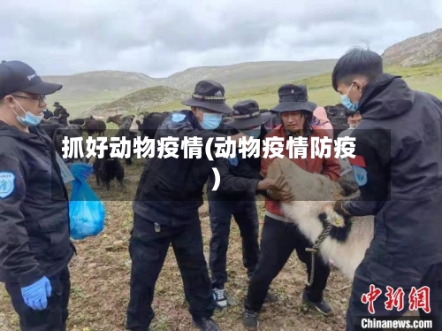 抓好动物疫情(动物疫情防疫)