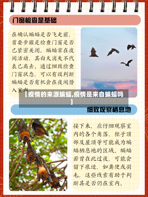 【疫情的来源蝙蝠,疫情是来自蝙蝠吗】-第2张图片