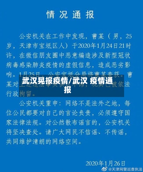 武汉晃报疫情/武汉 疫情通报
