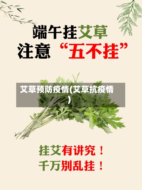 艾草预防疫情(艾草抗疫情)-第3张图片