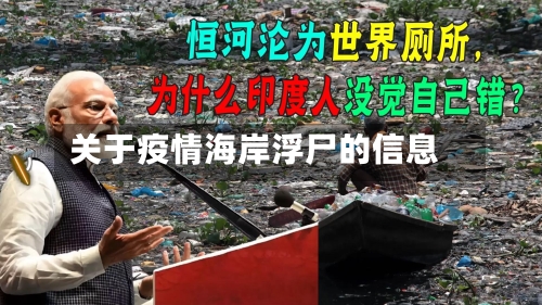 关于疫情海岸浮尸的信息-第2张图片