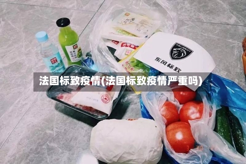 法国标致疫情(法国标致疫情严重吗)