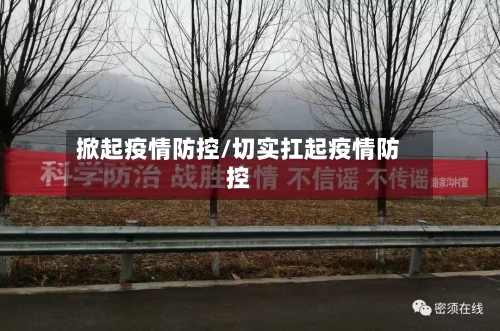 掀起疫情防控/切实扛起疫情防控-第2张图片