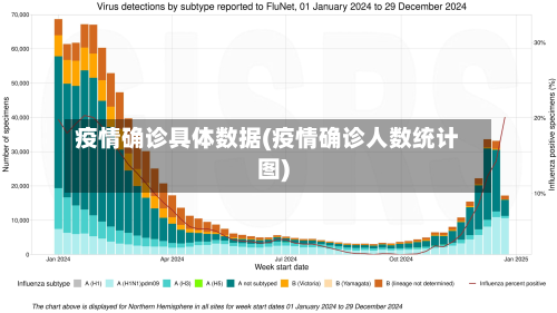 疫情确诊具体数据(疫情确诊人数统计图)