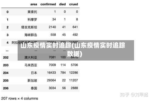 山东疫情实时追踪(山东疫情实时追踪数据)