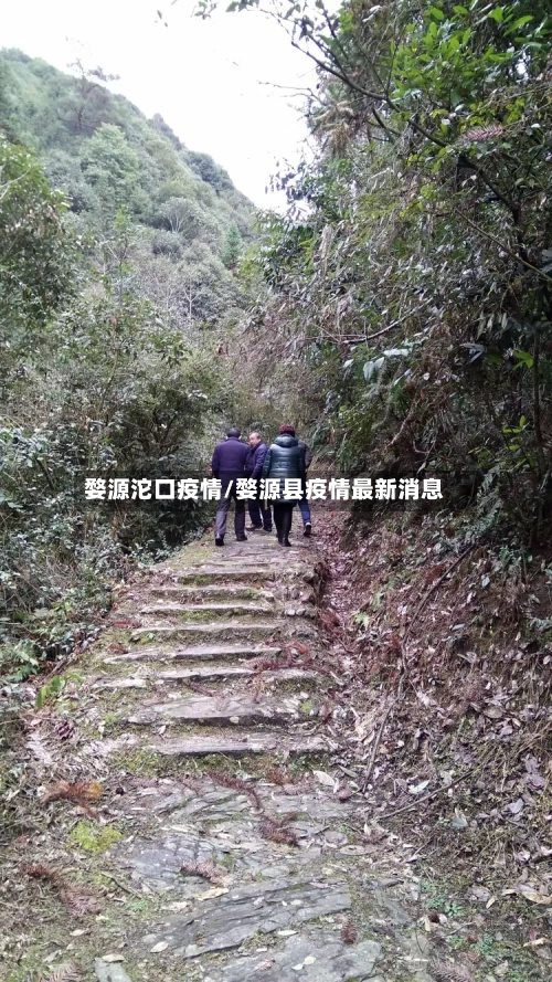 婺源沱口疫情/婺源县疫情最新消息