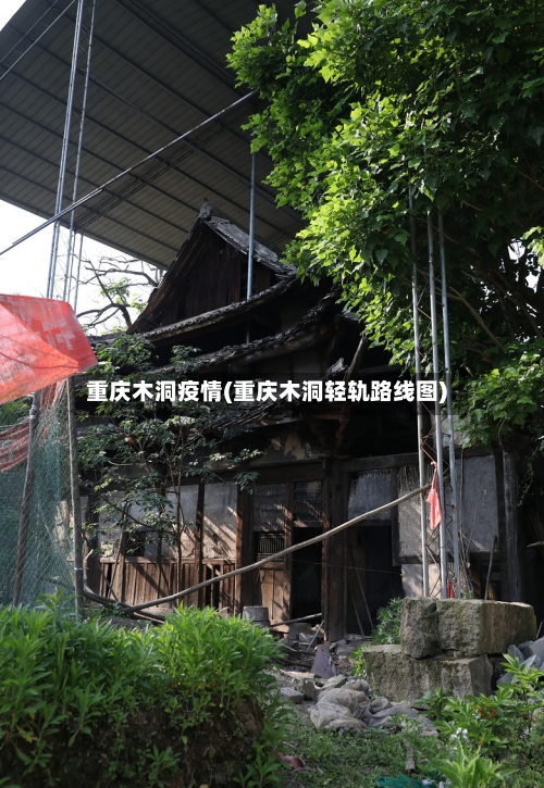 重庆木洞疫情(重庆木洞轻轨路线图)