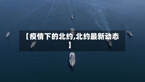 【疫情下的北约,北约最新动态】-第2张图片