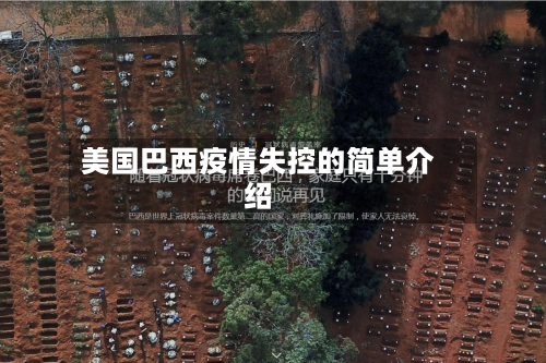 美国巴西疫情失控的简单介绍-第2张图片