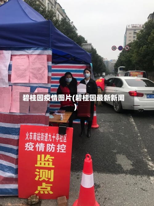 碧桂园疫情图片(碧桂园最新新闻)-第2张图片