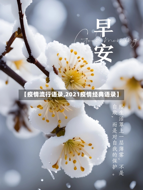 【疫情流行语录,2021疫情经典语录】-第2张图片