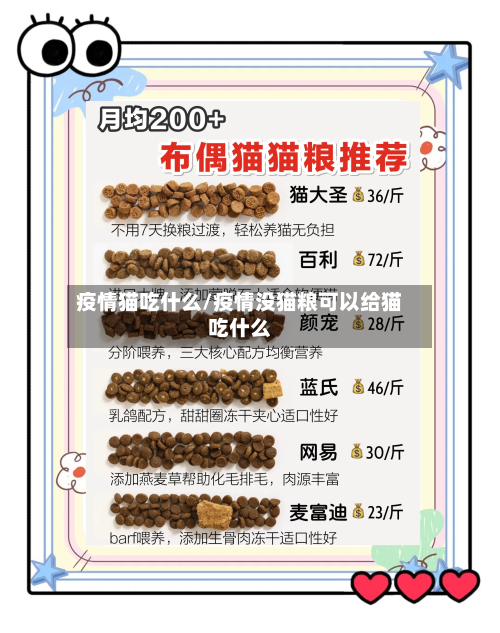 疫情猫吃什么/疫情没猫粮可以给猫吃什么