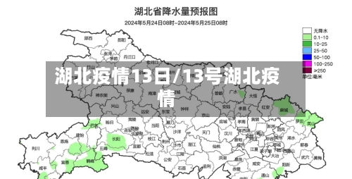 湖北疫情13日/13号湖北疫情-第2张图片
