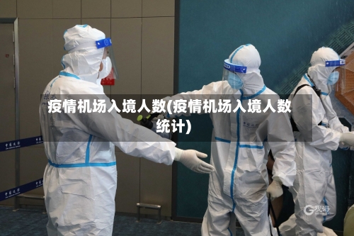 疫情机场入境人数(疫情机场入境人数统计)-第2张图片