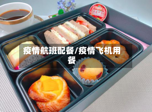 疫情航班配餐/疫情飞机用餐