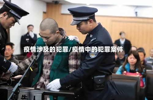 疫情涉及的犯罪/疫情中的犯罪案件