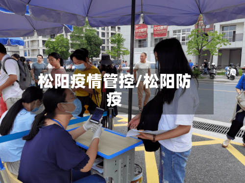 松阳疫情管控/松阳防疫