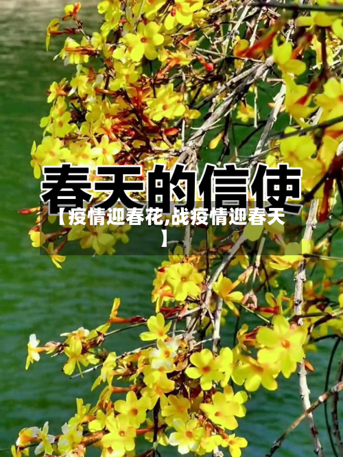 【疫情迎春花,战疫情迎春天】-第3张图片