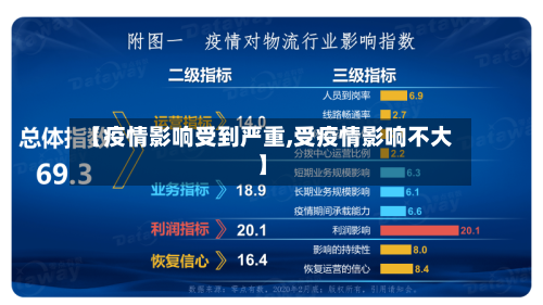 【疫情影响受到严重,受疫情影响不大】