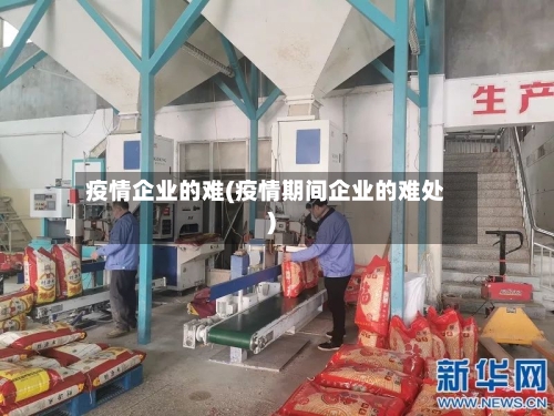 疫情企业的难(疫情期间企业的难处)-第2张图片