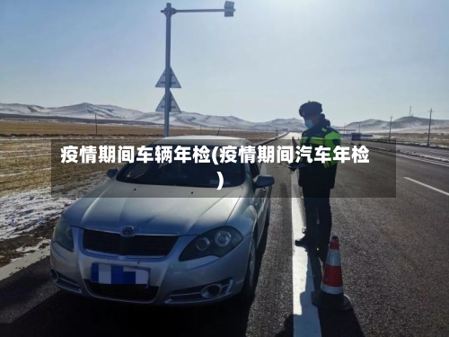 疫情期间车辆年检(疫情期间汽车年检)