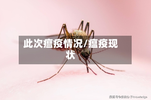 此次瘟疫情况/瘟疫现状-第2张图片