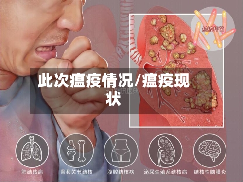 此次瘟疫情况/瘟疫现状