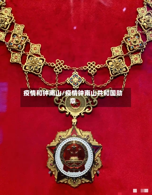 疫情和钟南山/疫情钟南山共和国勋章-第3张图片